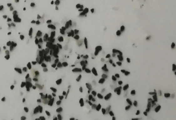 Relación de Vacíos